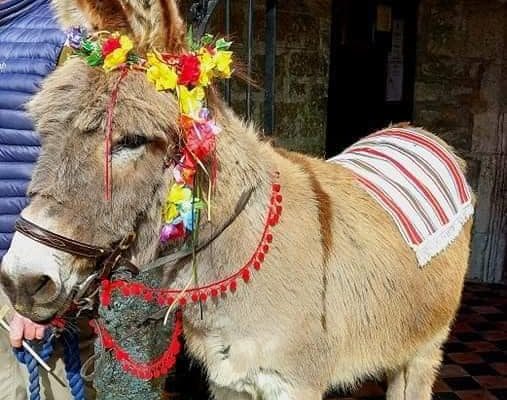 Palm Sunday donkey